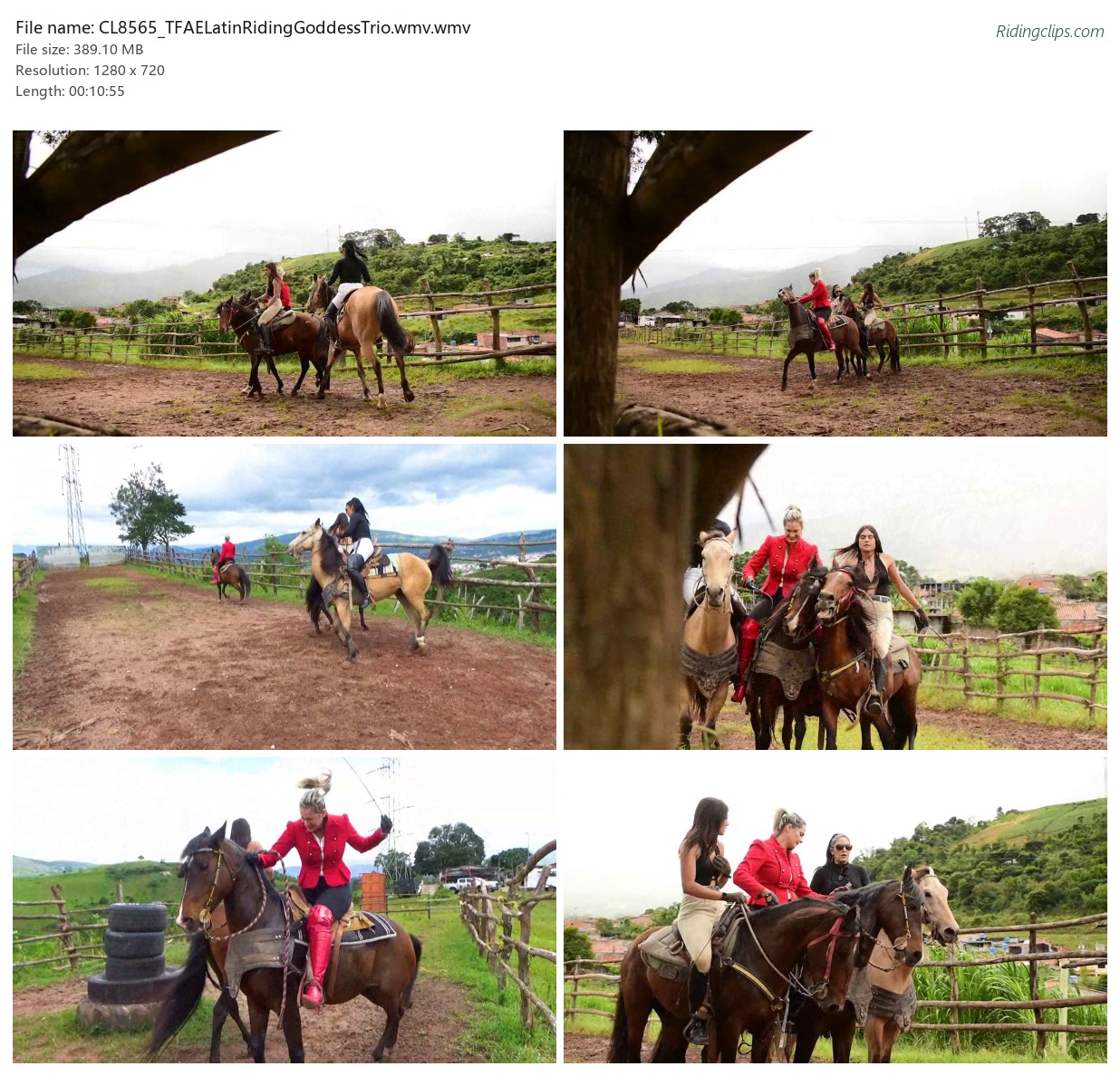 CL8565_TFAELatinRidingGoddessTrio.wmv.wmv_2x3.jpg