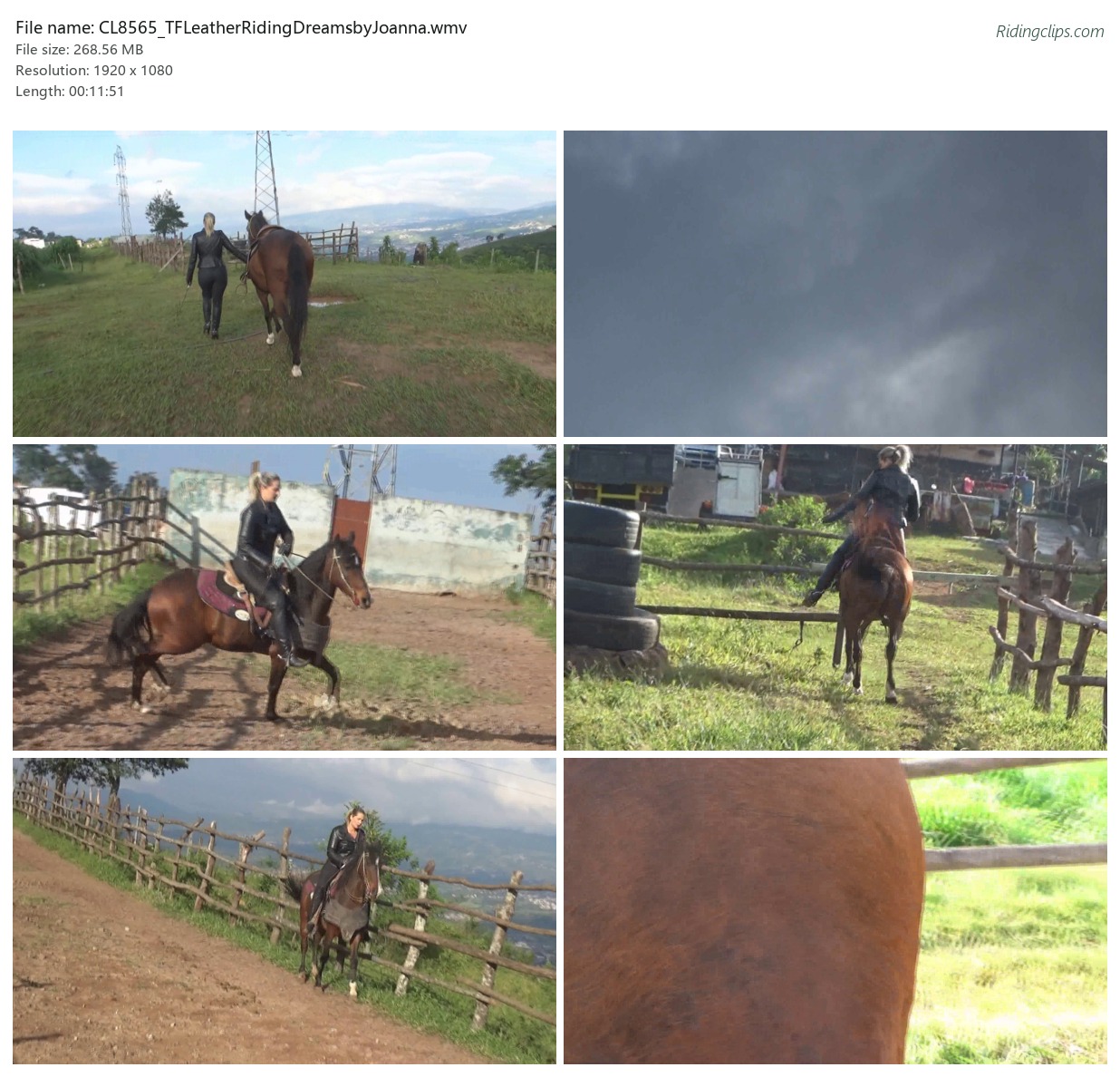 CL8565_TFLeatherRidingDreamsbyJoanna.wmv_2x3.jpg