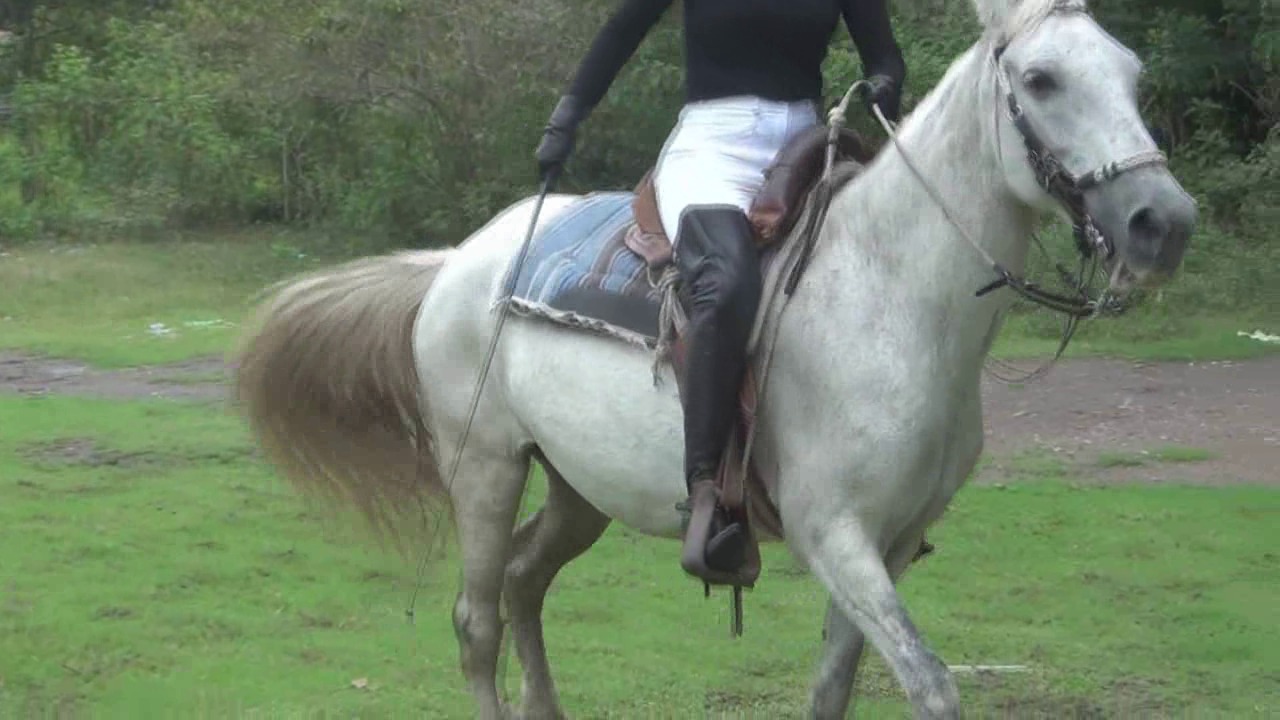 CL8565_TheBootsloversdreamriderbyDiosa.wmv_random_01.jpg