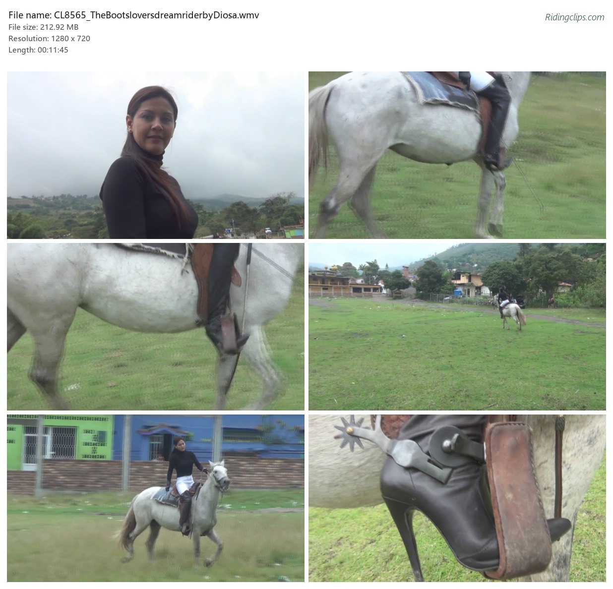CL8565_TheBootsloversdreamriderbyDiosa.wmv_2x3.jpg