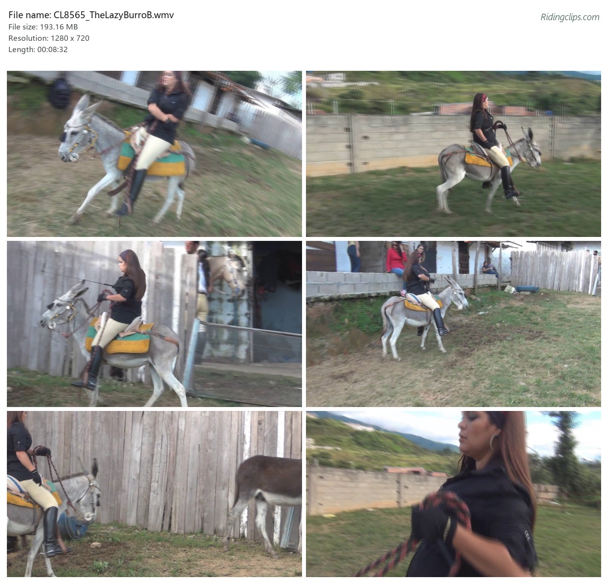 CL8565_TheLazyBurroB.wmv_2x3.jpg