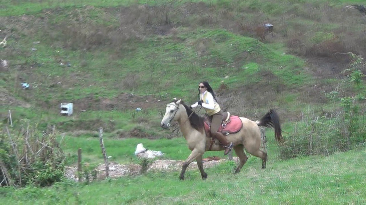 CL8565_UphillTrainingK amak.wmv_random_01.jpg