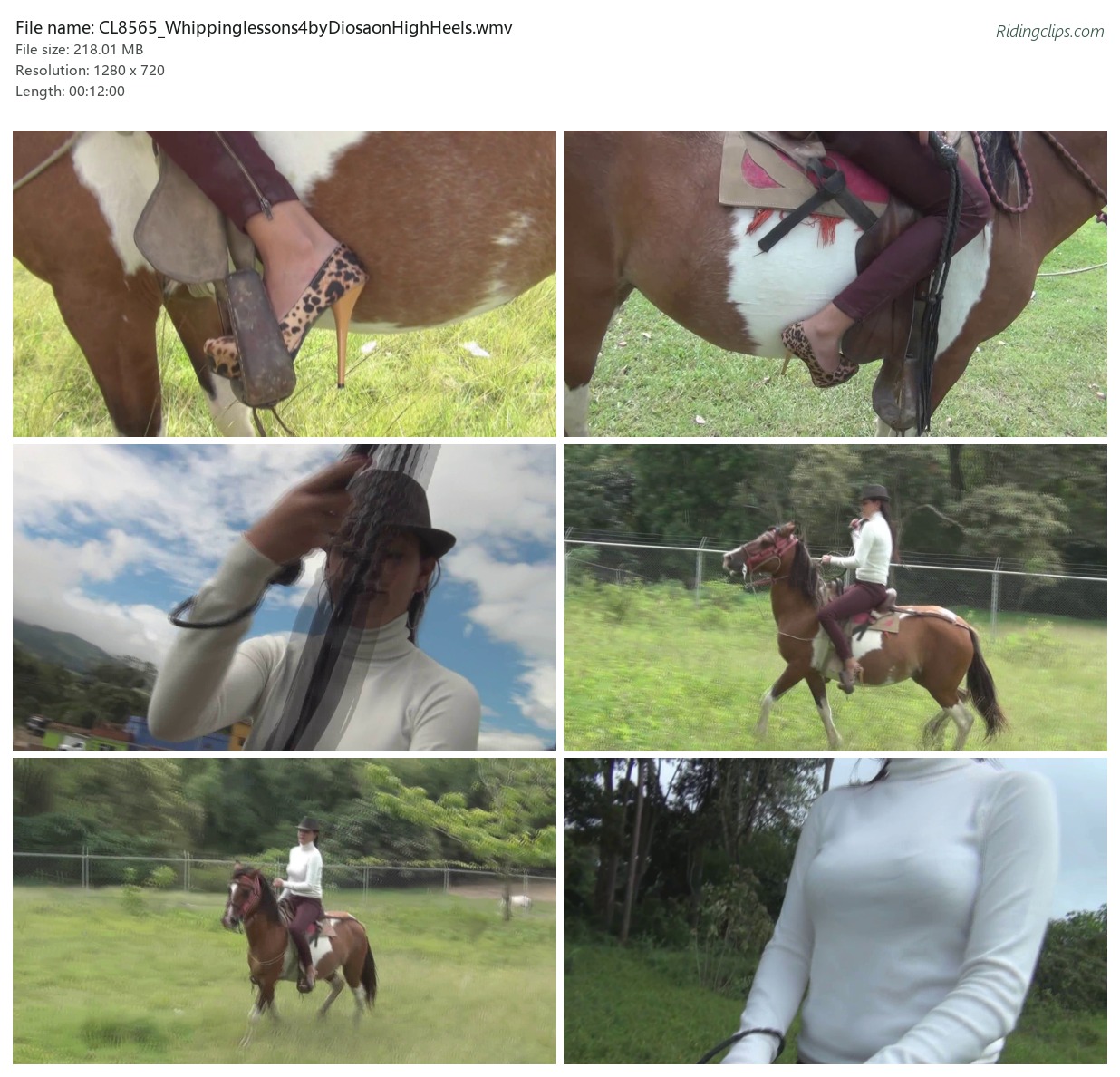 CL8565_Whippinglessons4byDiosaonHighHeels.wmv_2x3.jpg