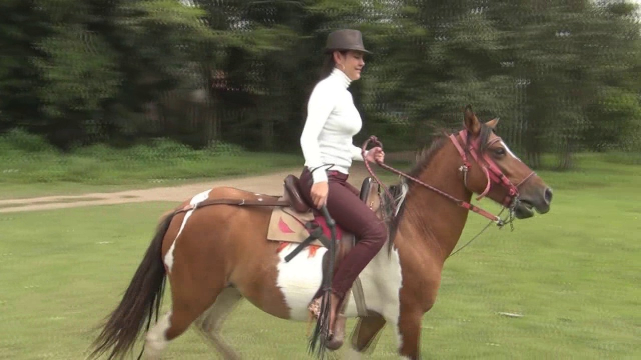 CL8565 Whippinglessons4byDiosaonHighHeels.wmv