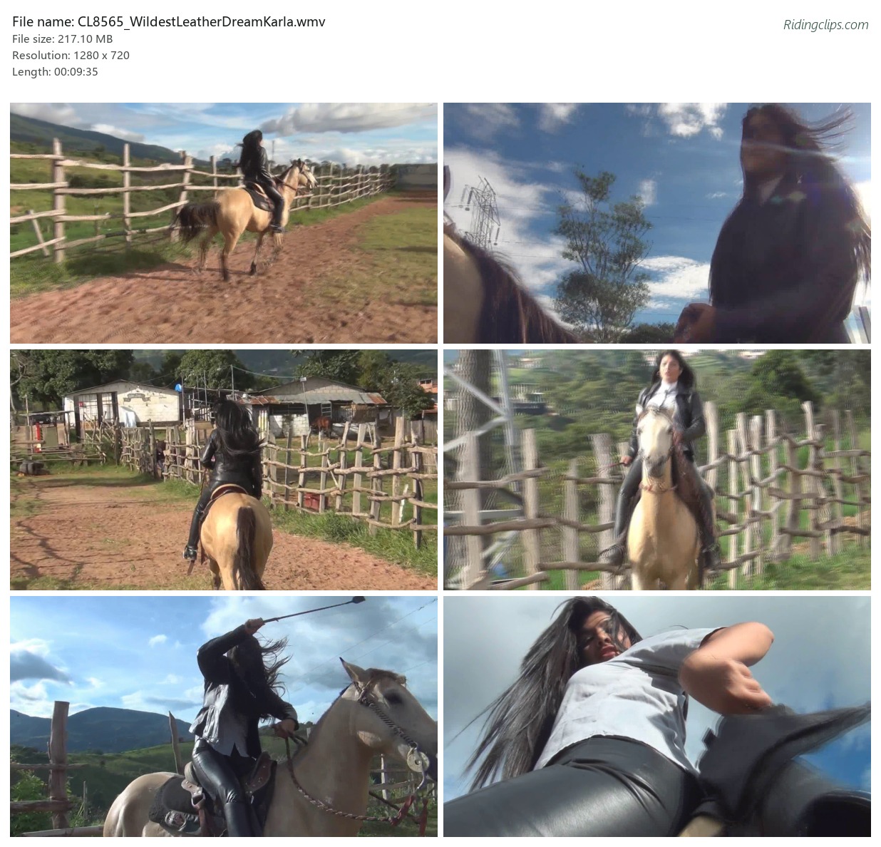 CL8565_WildestLeatherDreamKarla.wmv_2x3.jpg