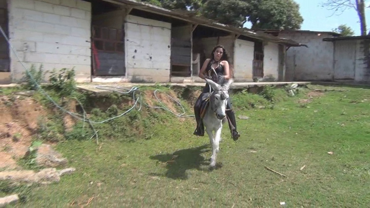CL8565_YF_RebelBurroSylvia.WMV_random_01.jpg