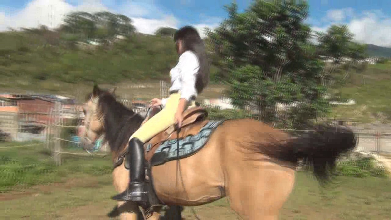 CL8565_Yf_Ye_Dubraskamorningwalk.wmv_random_01.jpg