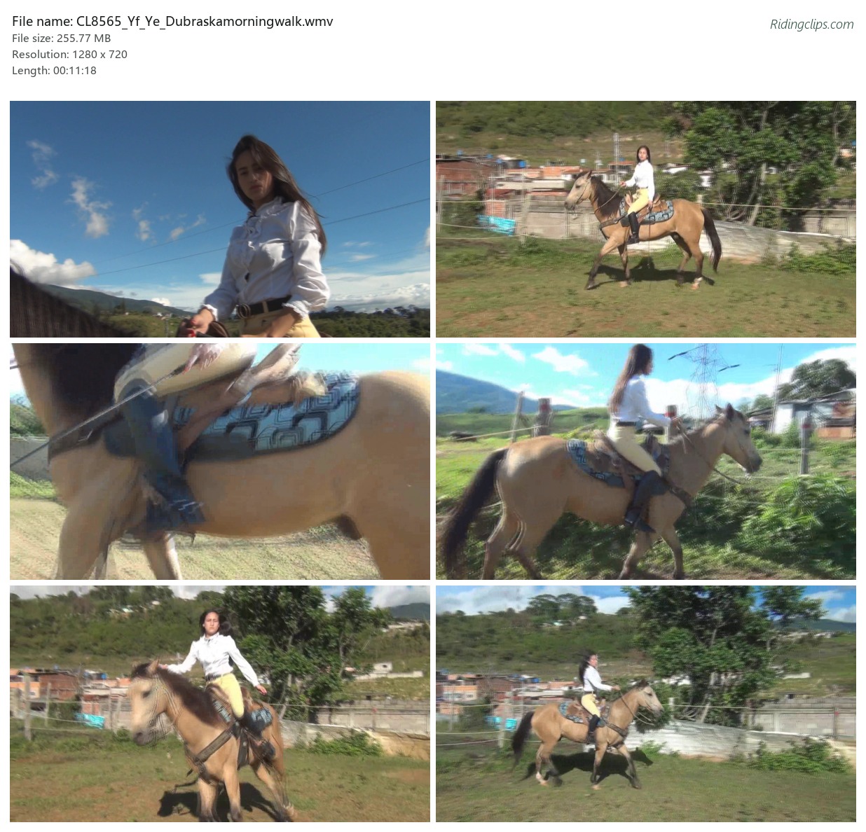 CL8565_Yf_Ye_Dubraskamorningwalk.wmv_2x3.jpg