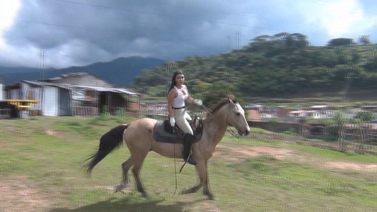 CL8565_Yf_Ye_Marygalloping.wmv_random_01.jpg