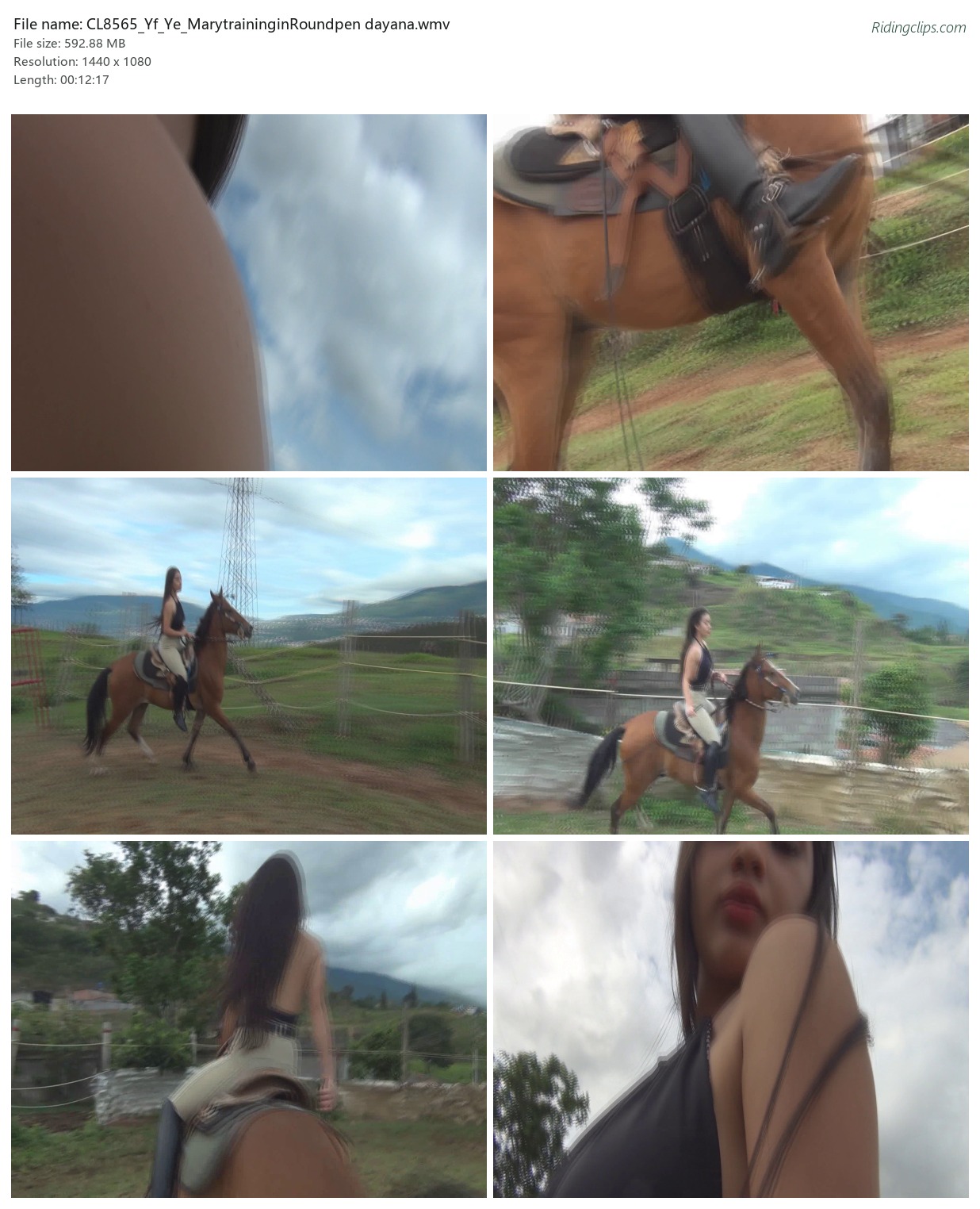 CL8565_Yf_Ye_MarytraininginRoundpen dayana.wmv_2x3.jpg