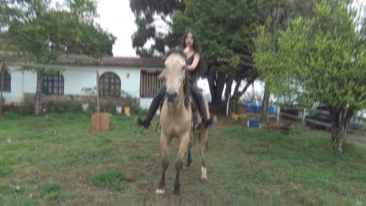 CL8565_Yf_Ye_Marywithhernewtoy.wmv_random_01.jpg