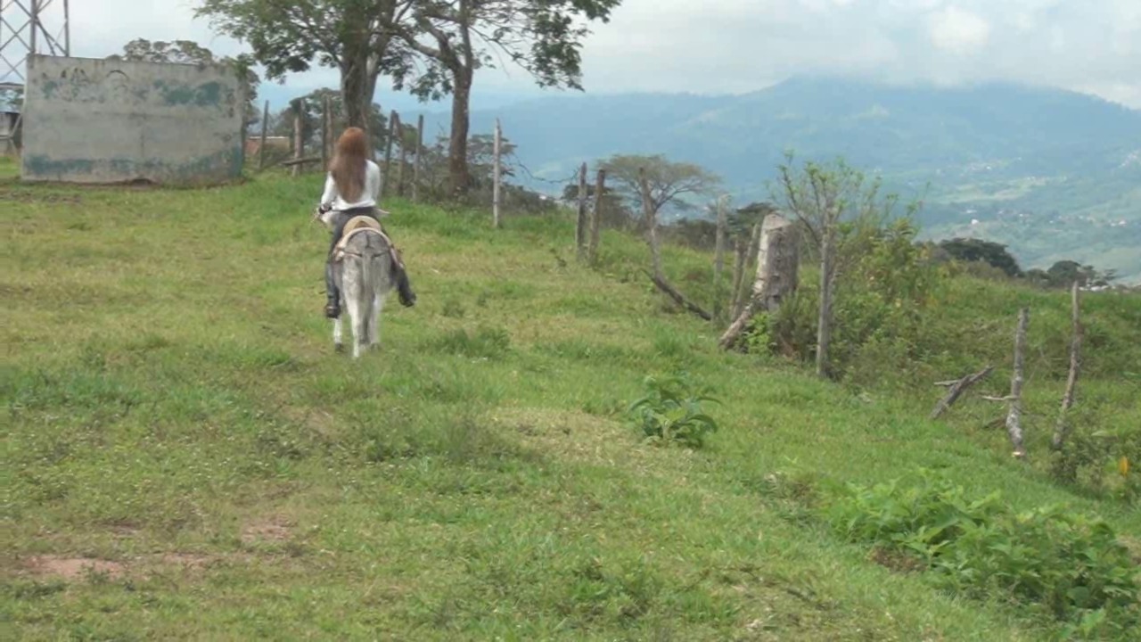 CL8565_Yf_Ye_Rebecaonthedonkeyforthefirsttime.wmv_random_01.jpg