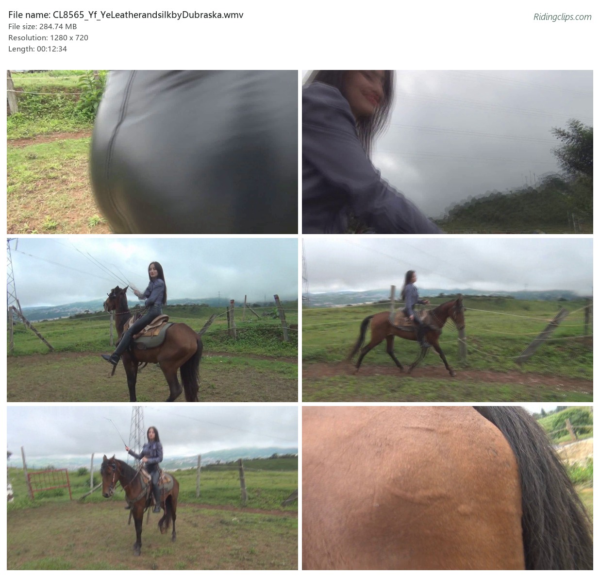 CL8565_Yf_YeLeatherandsilkbyDubraska.wmv_2x3.jpg