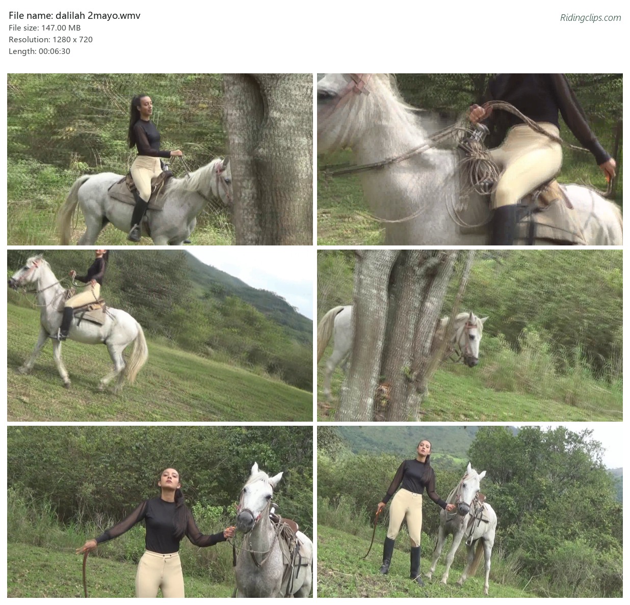 dalilah 2mayo.wmv_2x3.jpg