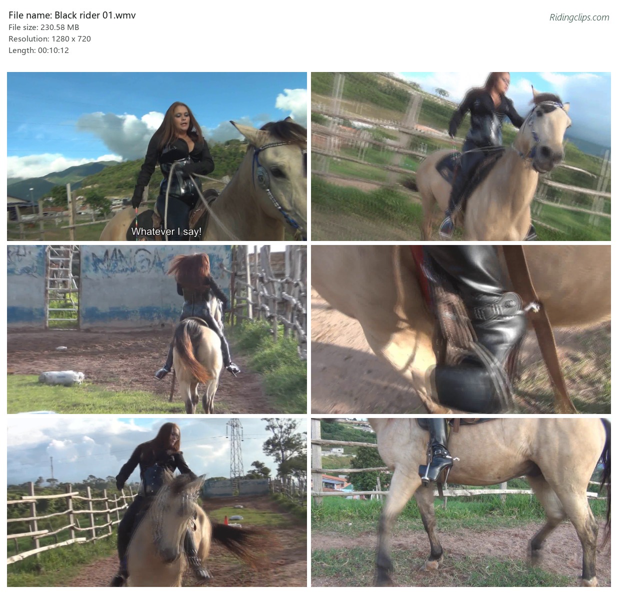 Black rider 01.wmv_2x3.jpg