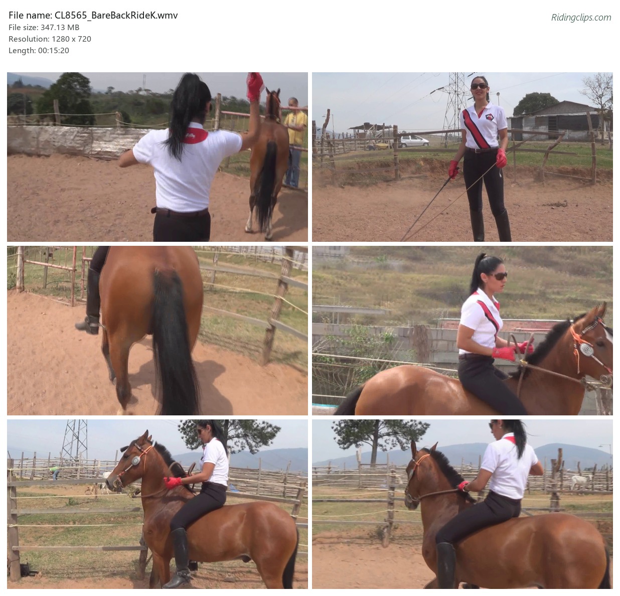 CL8565_BareBackRideK.wmv_2x3.jpg