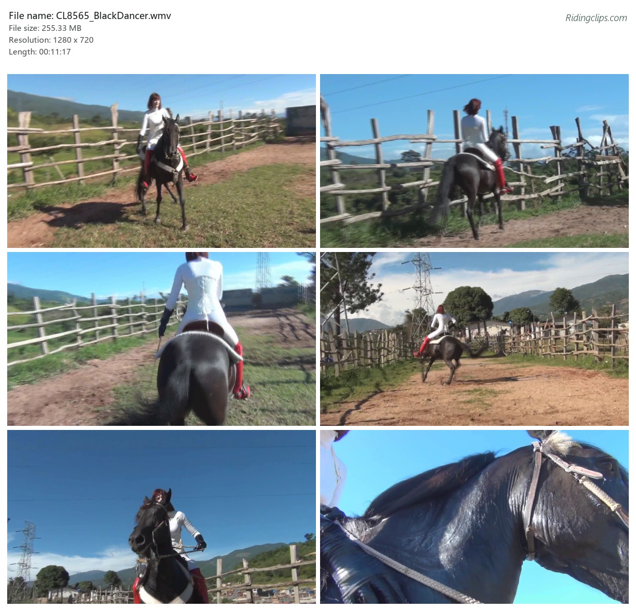 CL8565_BlackDancer.wmv_2x3.jpg