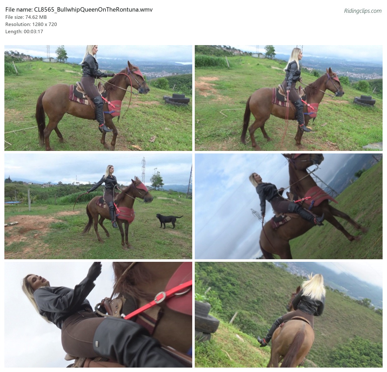 CL8565_BullwhipQueenOnTheRontuna.wmv_2x3.jpg