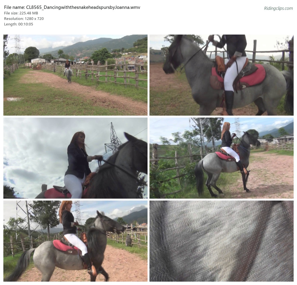 CL8565_DancingwiththesnakeheadspursbyJoanna.wmv_2x3.jpg