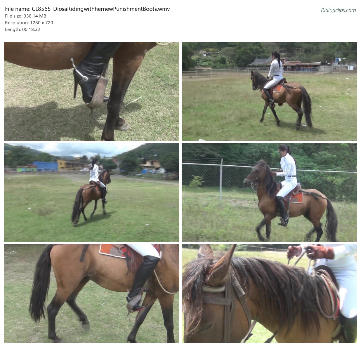 CL8565_DiosaRidingwithhernewPunishmentBoots.wmv_2x3.jpg