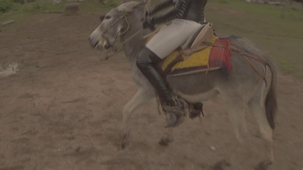 CL8565_GoldenSpursJ.wmv_random_01.jpg