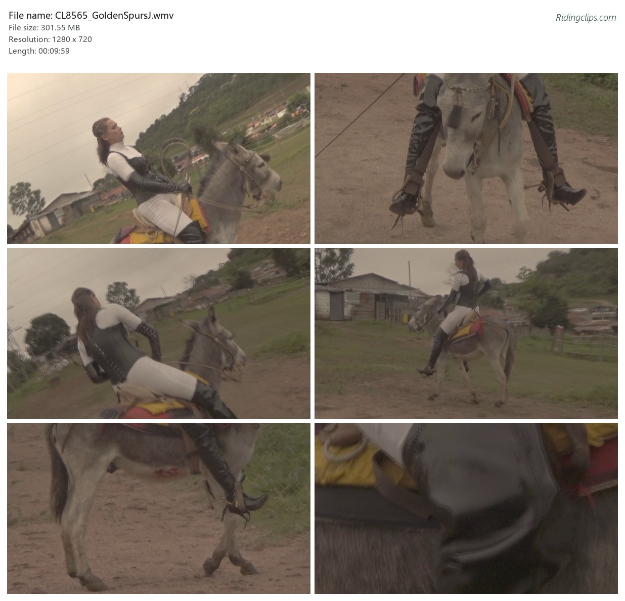 CL8565_GoldenSpursJ.wmv_2x3.jpg