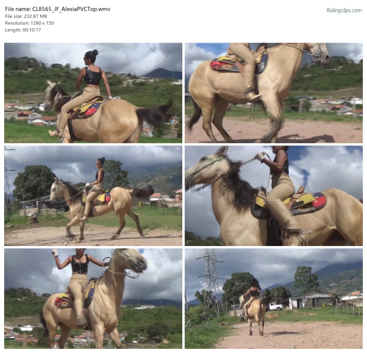 CL8565_JF_AlexiaPVCTop.wmv_2x3.jpg