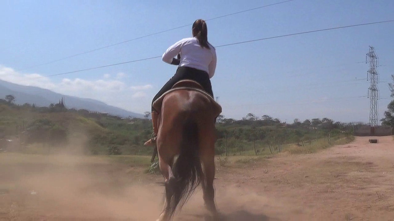 CL8565_JF_ImTheBossMarisela.wmv_random_01.jpg