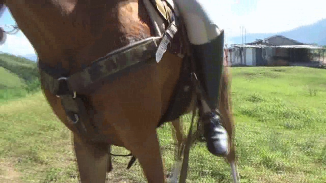 CL8565_jf_je_adrianarelaxrideonthefarm.wmv_random_01.jpg