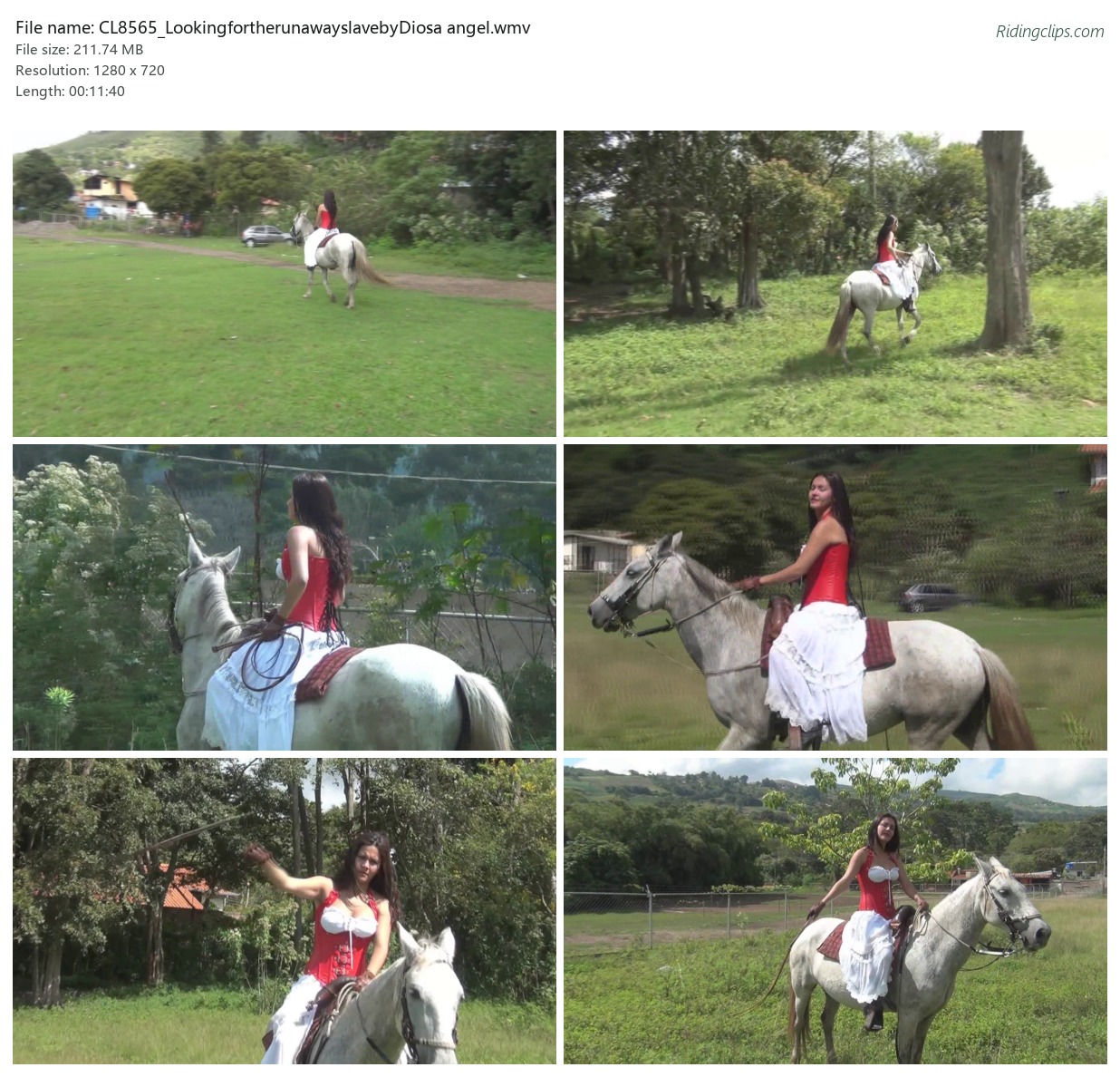 CL8565_LookingfortherunawayslavebyDiosa angel.wmv_2x3.jpg