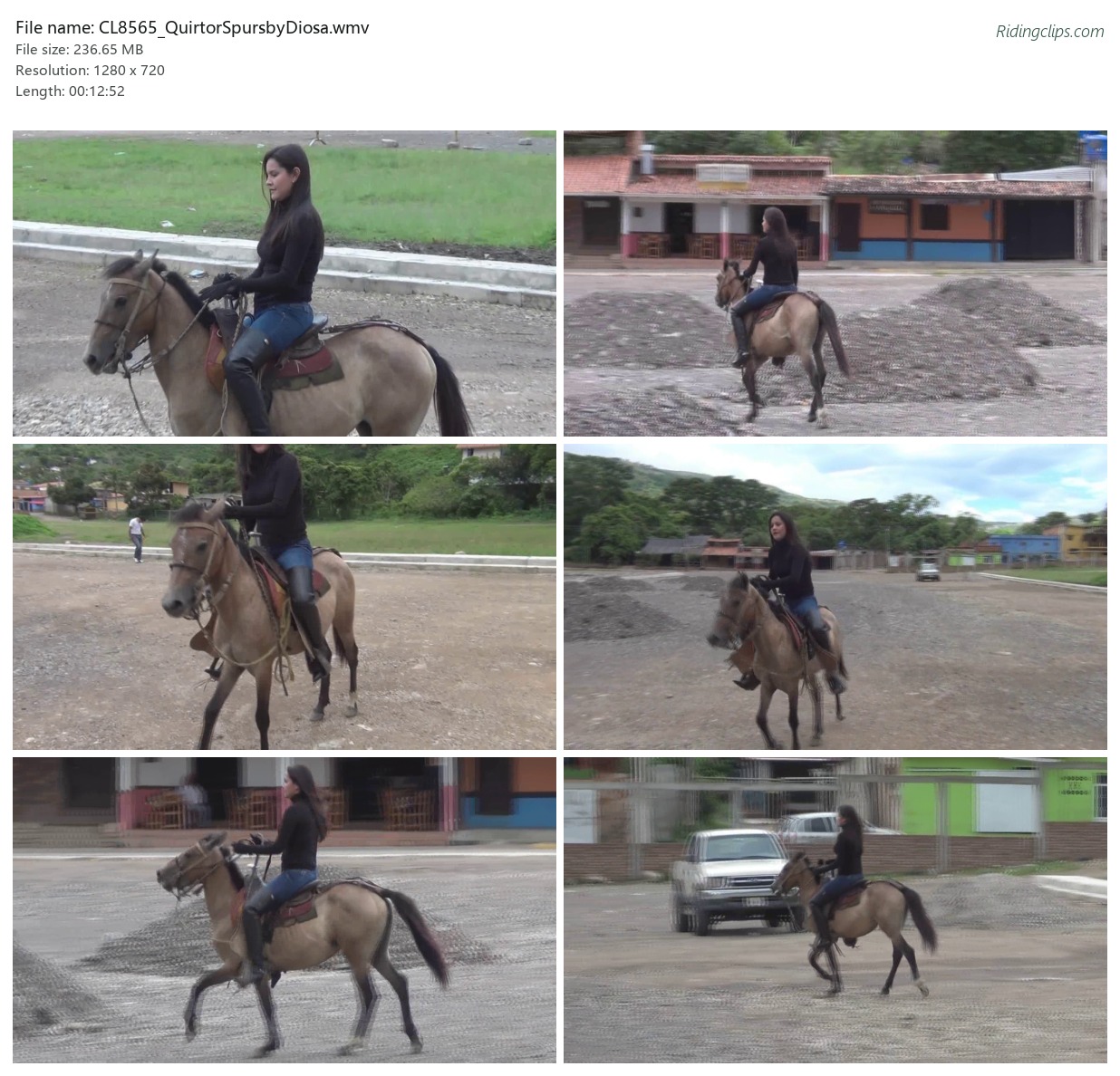 CL8565_QuirtorSpursbyDiosa.wmv_2x3.jpg