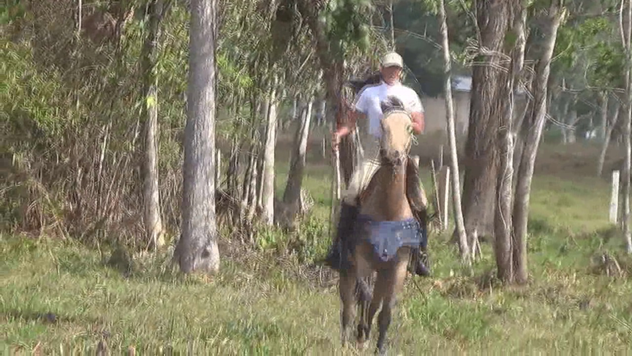 CL8565 TF RiverRideAmaK.wmv