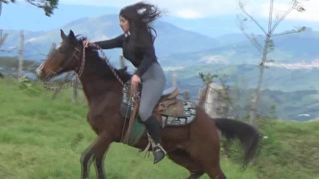 CL8565 tf te alondraoncastaway.wmv
