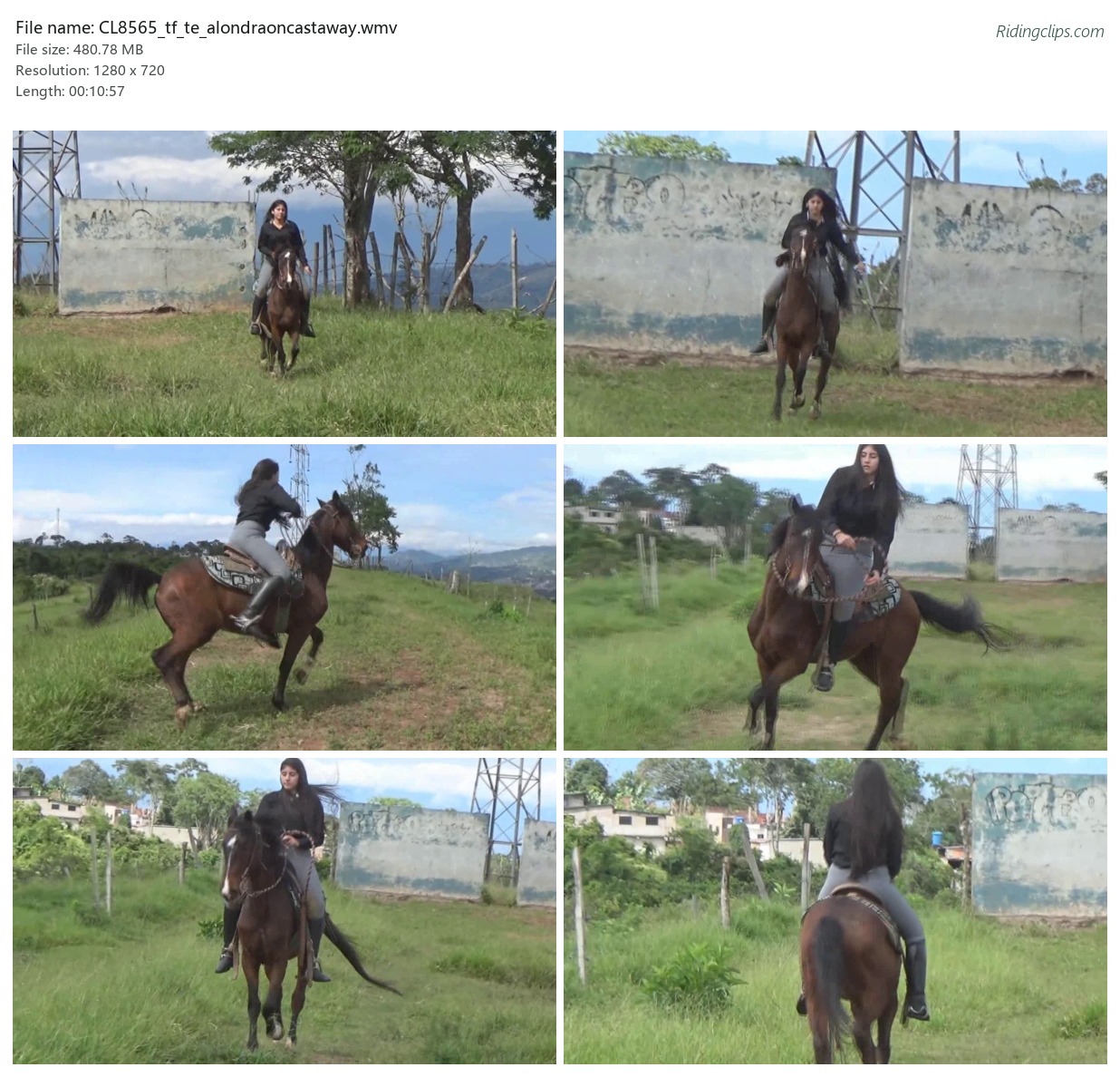 CL8565_tf_te_alondraoncastaway.wmv_2x3.jpg