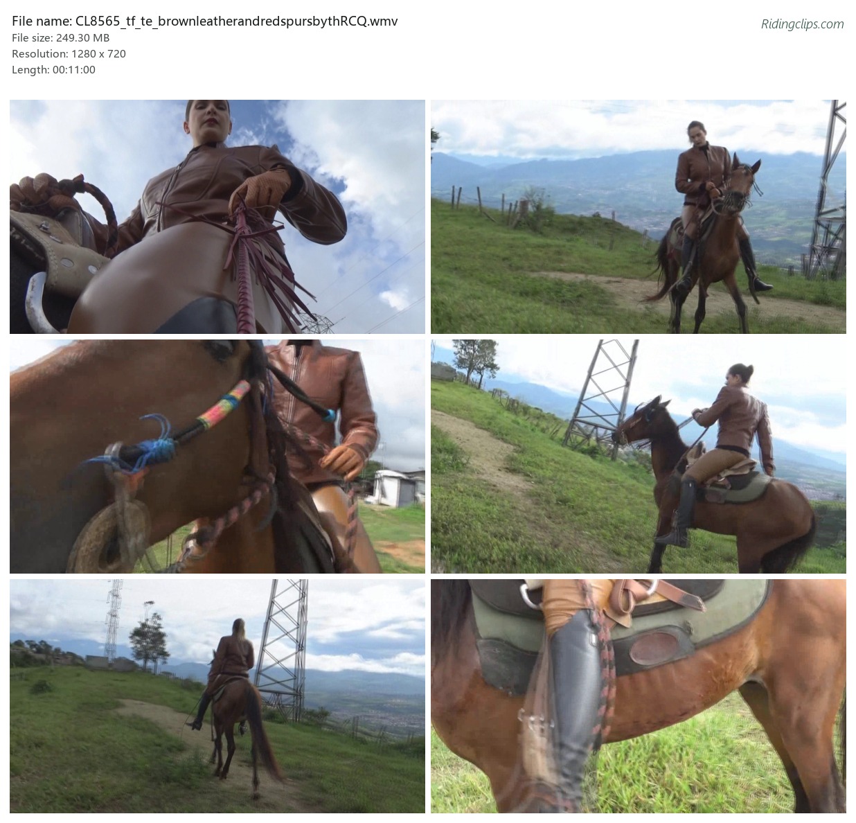 CL8565_tf_te_brownleatherandredspursbythRCQ.wmv_2x3.jpg