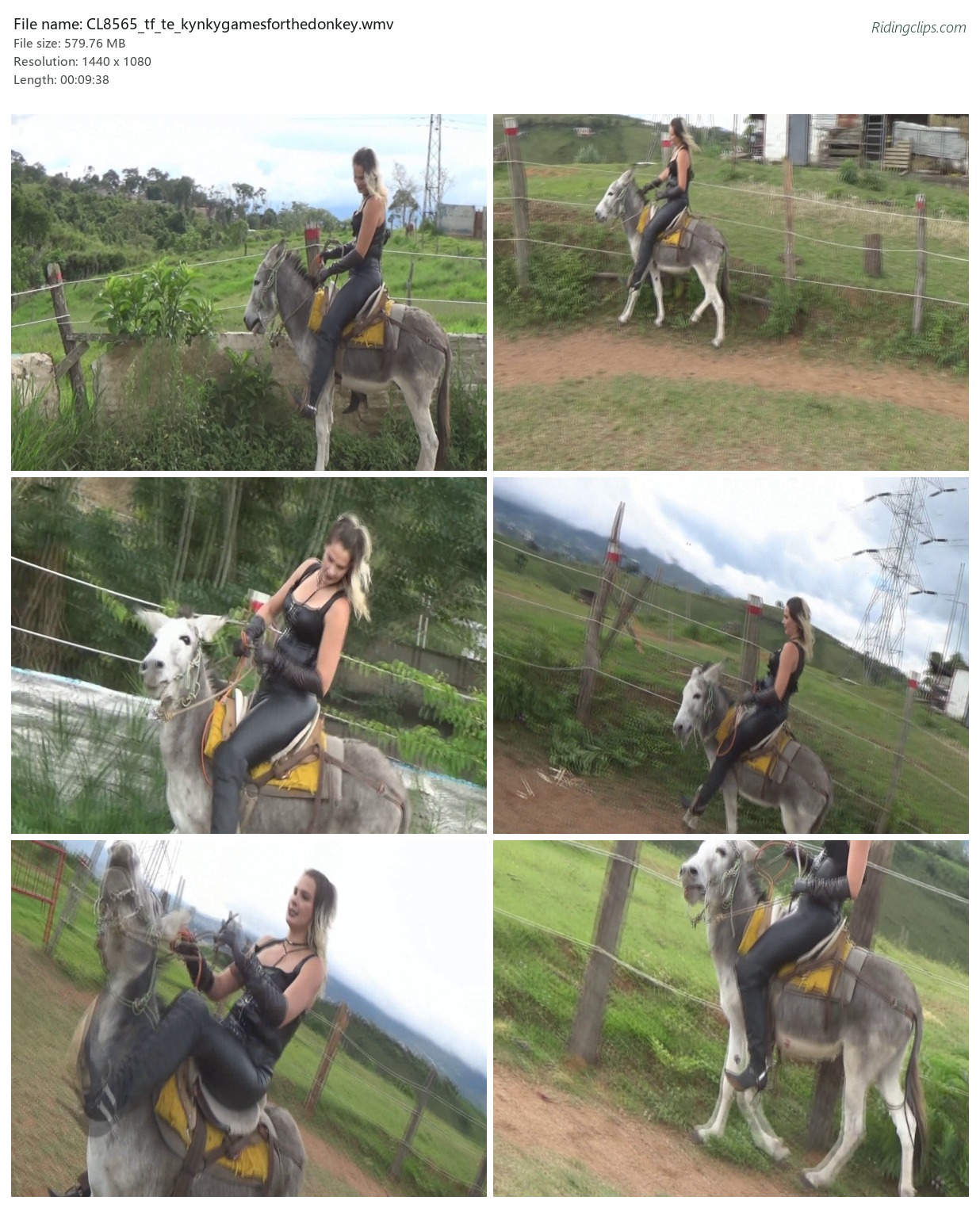 CL8565_tf_te_kynkygamesforthedonkey.wmv_2x3.jpg