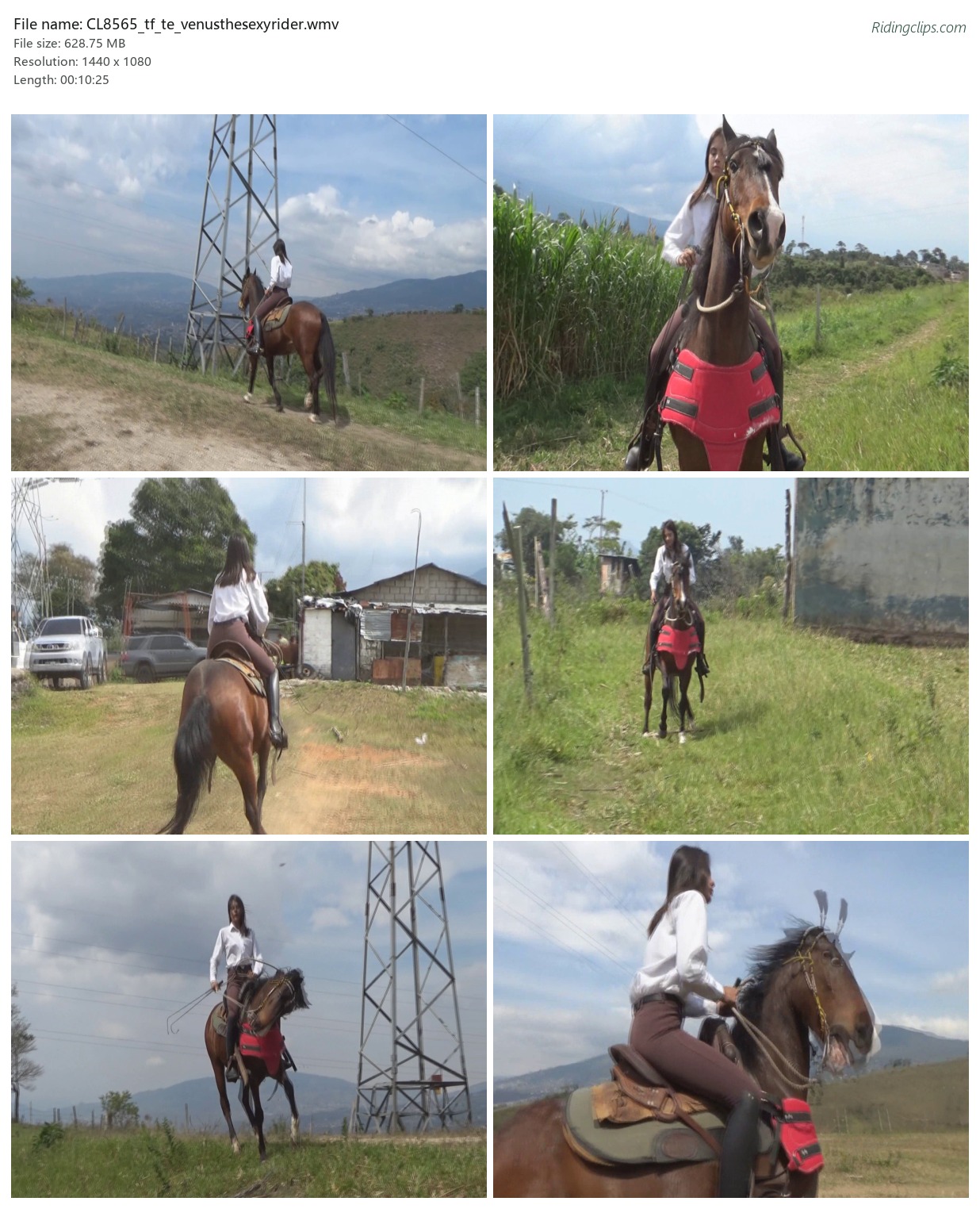 CL8565_tf_te_venusthesexyrider.wmv_2x3.jpg