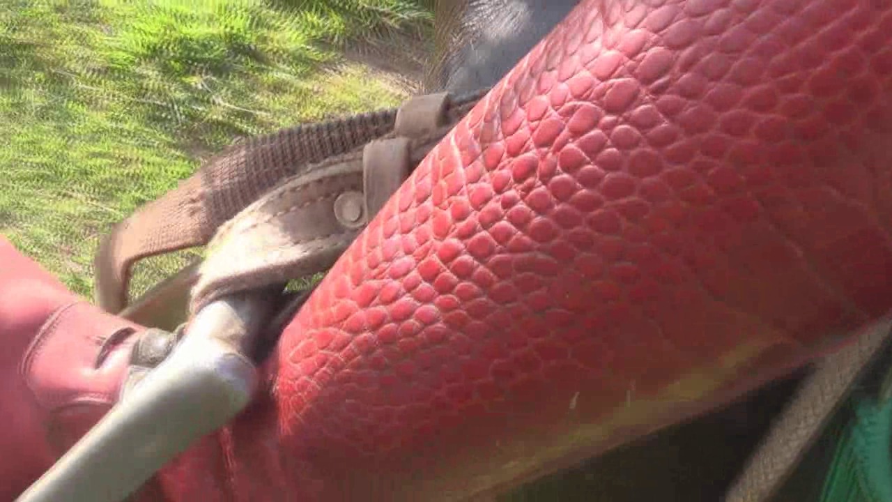 CL8565_tf_tedanielaandthenegro.wmv_random_01.jpg