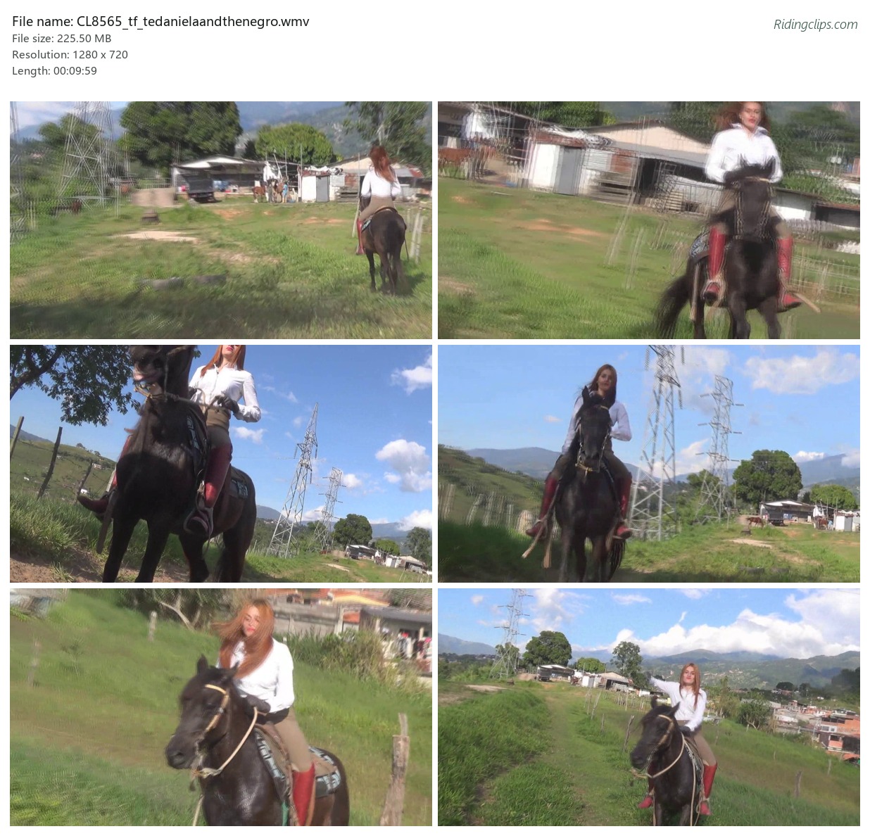 CL8565_tf_tedanielaandthenegro.wmv_2x3.jpg