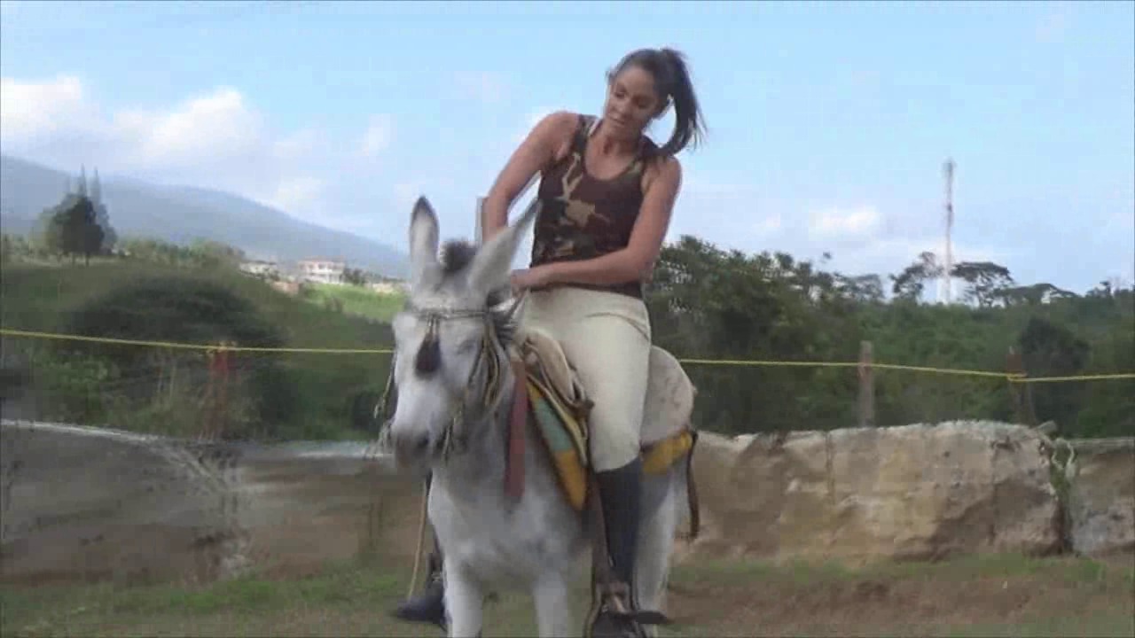 CL8565_TFAETheCommanderBurroTrainningByK.wmv_random_01.jpg