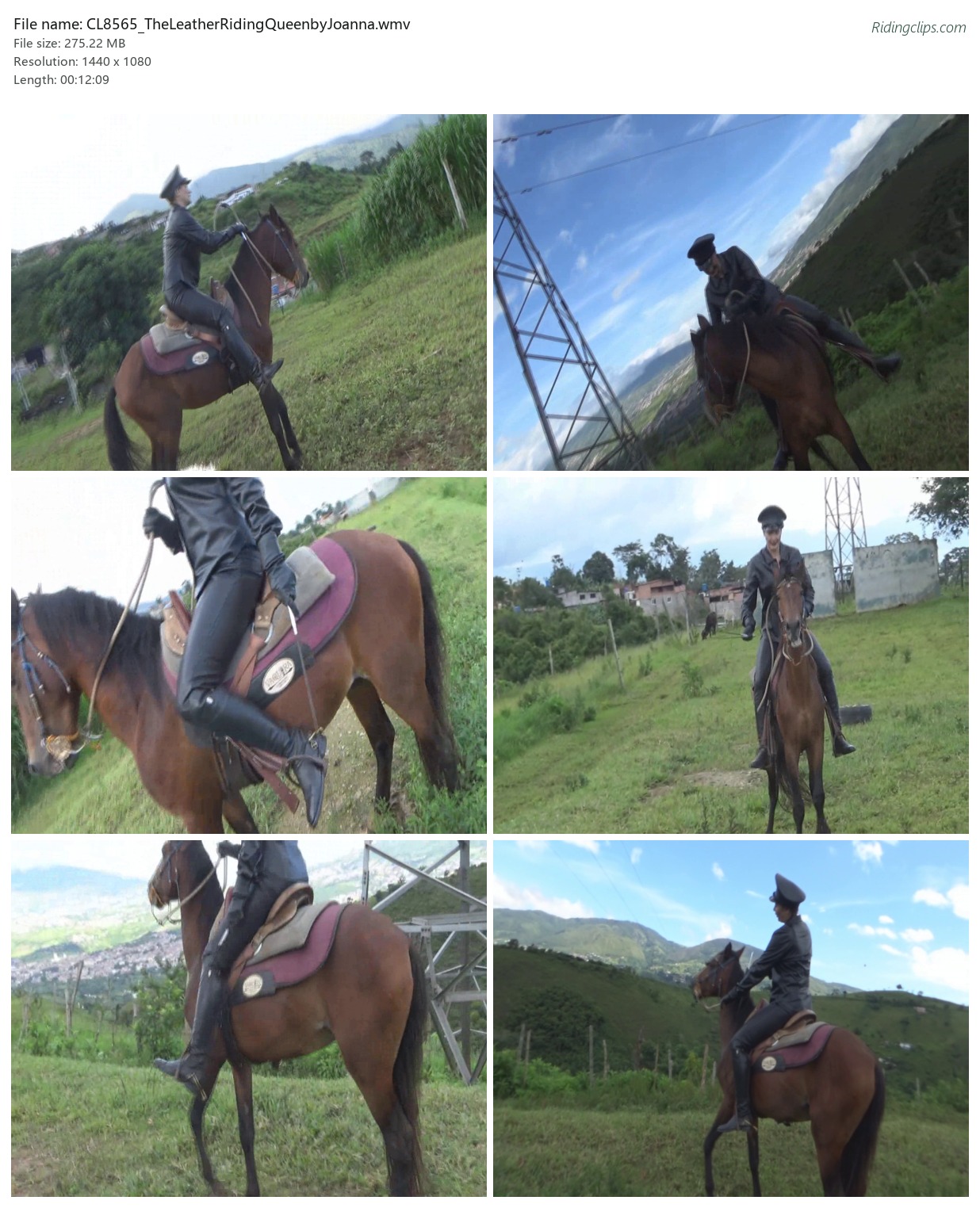 CL8565_TheLeatherRidingQueenbyJoanna.wmv_2x3.jpg