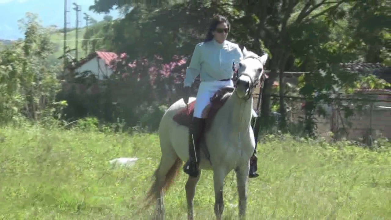CL8565_ThetasteofKrystallswhip.wmv_random_01.jpg