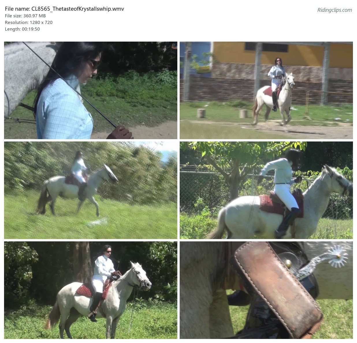 CL8565_ThetasteofKrystallswhip.wmv_2x3.jpg