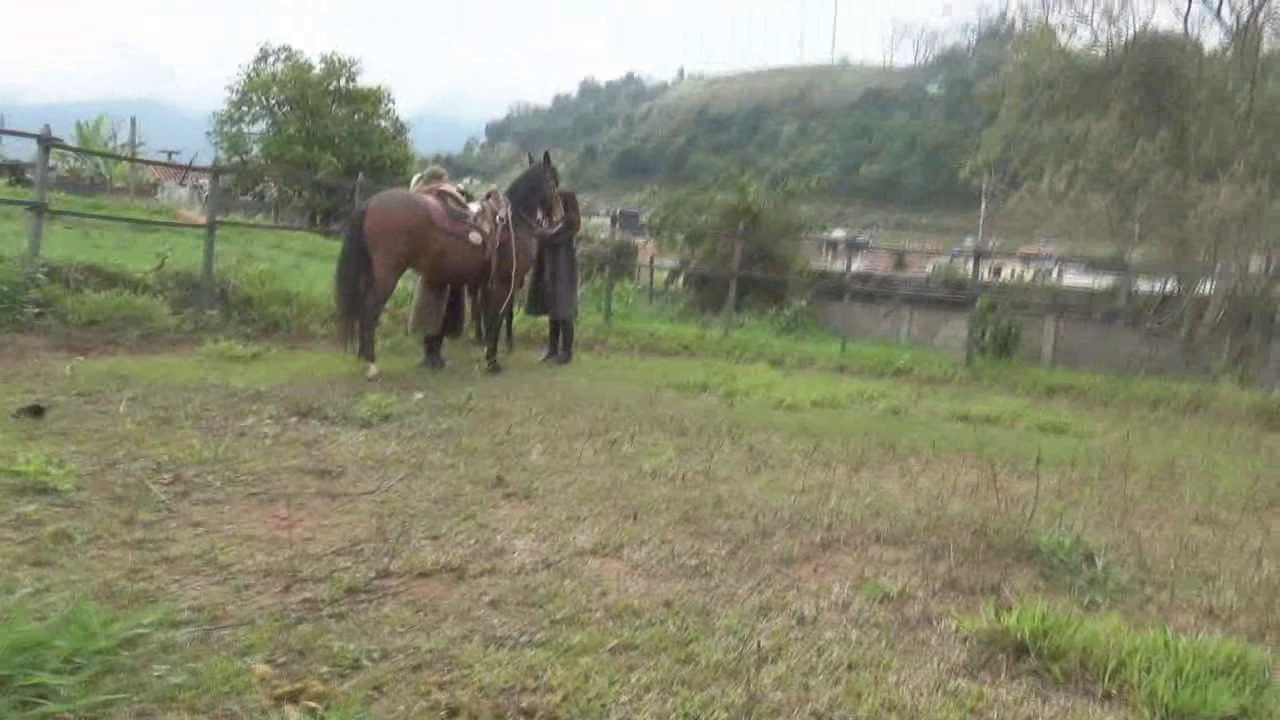 CL8565 TwoGorgeousRidingGoddessesinFursVJ.wmv