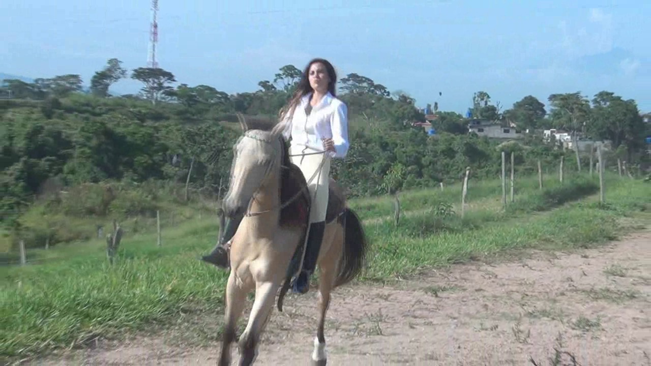 CL8565_YF_SylviaRidesonFlorentino.wmv_random_01.jpg