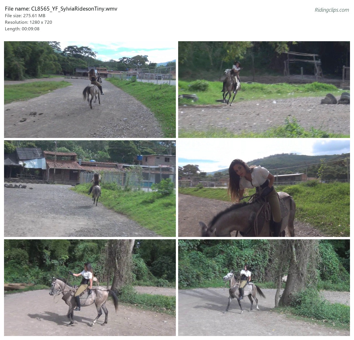 CL8565_YF_SylviaRidesonTiny.wmv_2x3.jpg