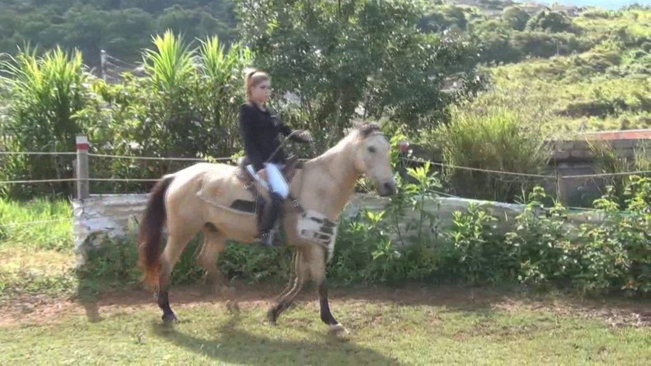CL8565_YF_WelcomeBelkys.wmv_random_01.jpg