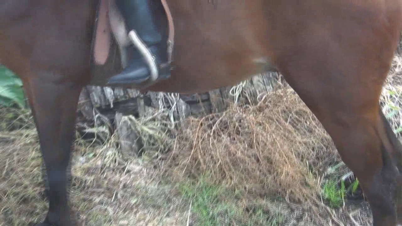 CL8565_Yf_Ye_BeautifulSylviaonTRT.wmv_random_01.jpg