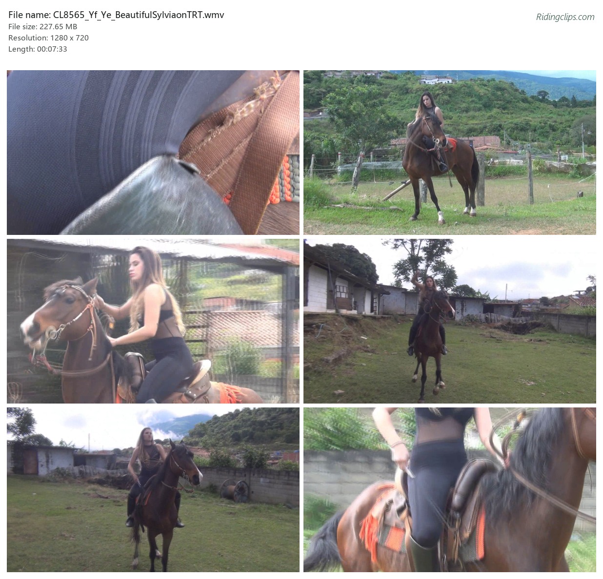 CL8565_Yf_Ye_BeautifulSylviaonTRT.wmv_2x3.jpg