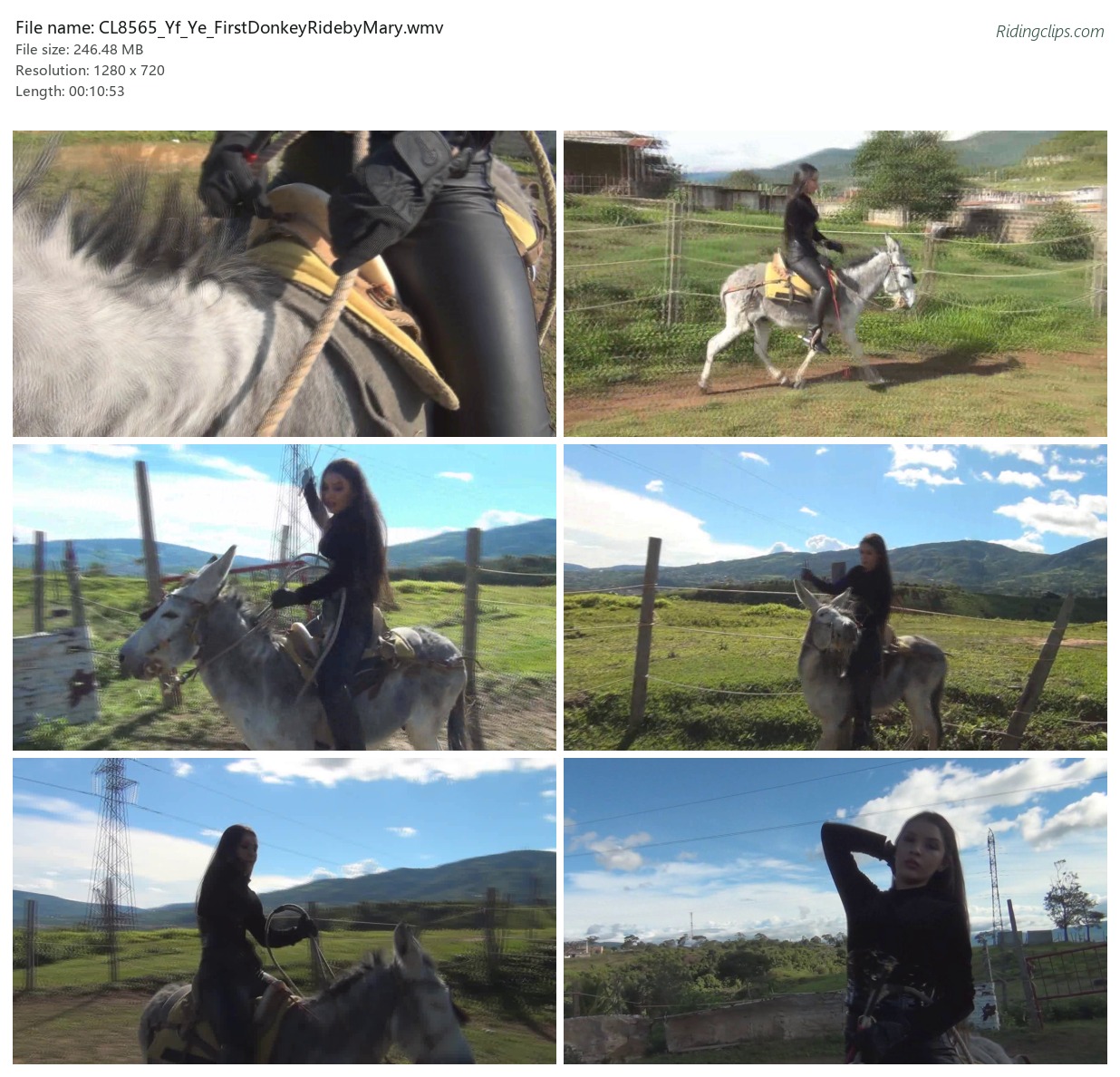CL8565_Yf_Ye_FirstDonkeyRidebyMary.wmv_2x3.jpg